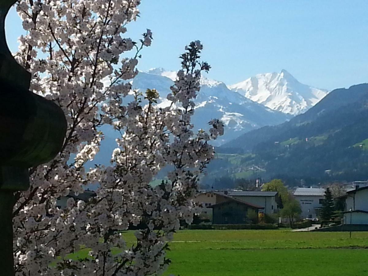 Apart Tyrol Uderns Dış mekan fotoğraf